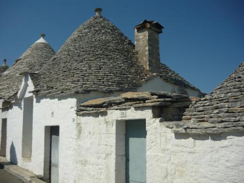 f13216768.jpg