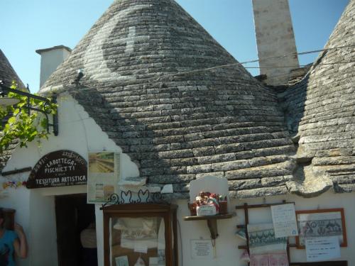 f13862848.jpg