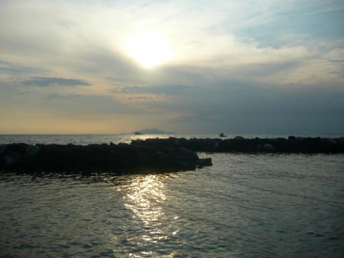 f10339392.jpg