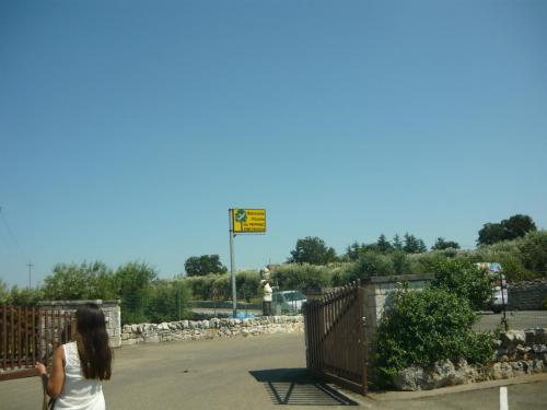 f13087424.jpg