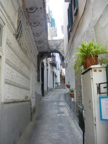image8.jpg