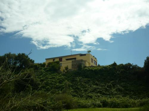 f4275648.jpg