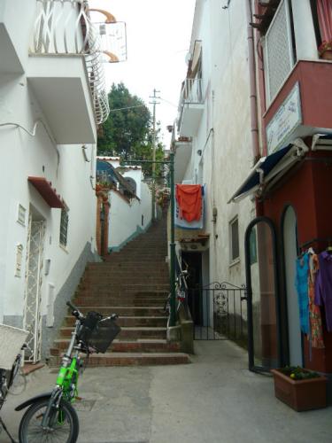 image13.jpg