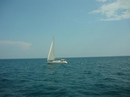 f15184512.jpg