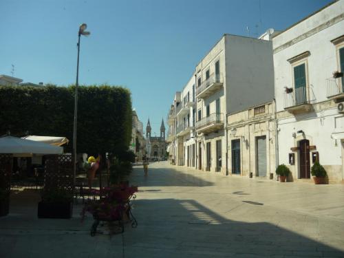 f13595776.jpg
