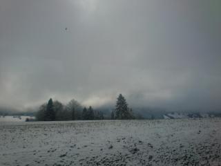 DSC_0755.jpg
