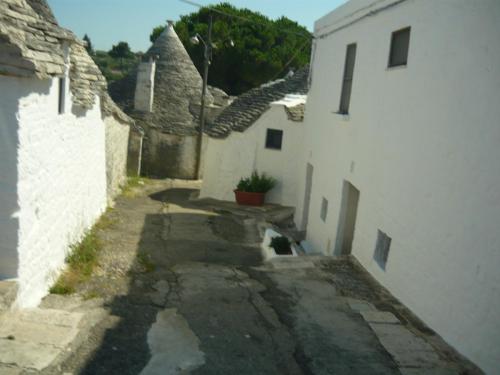 f13376448.jpg