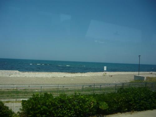 f12739520.jpg