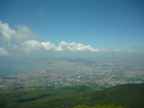 f7907648.jpg