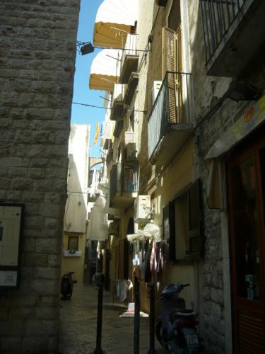 image4.jpg