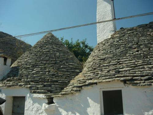 f13125248.jpg