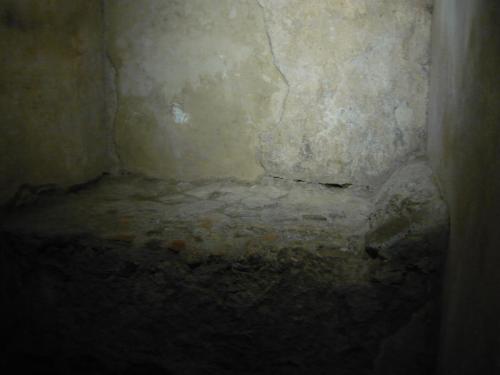 f8782336.jpg