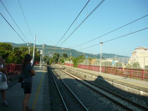 f9351552.jpg