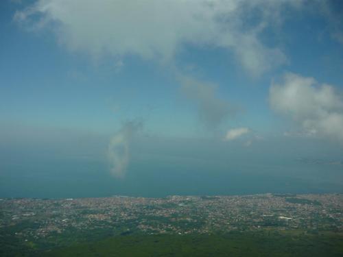 f7838976.jpg