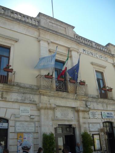 image2.jpg