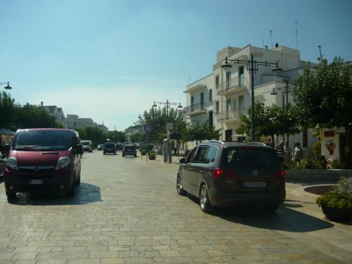 f13641024.jpg