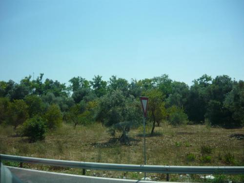 f12747072.jpg