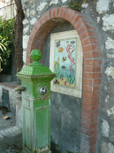 image17.jpg
