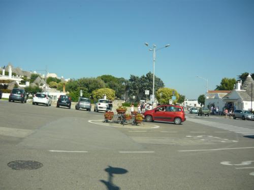 f13626944.jpg
