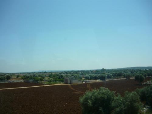 f12834752.jpg