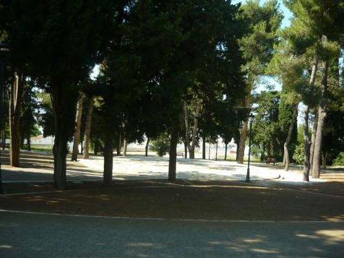 f13900992.jpg