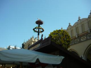 P1150051.JPG