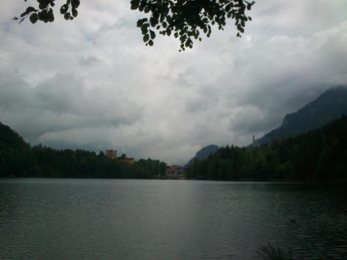 DSC_4236.jpg