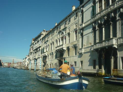 f2319936.jpg