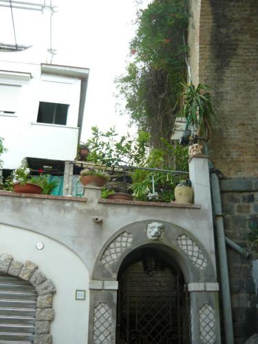 image14.jpg