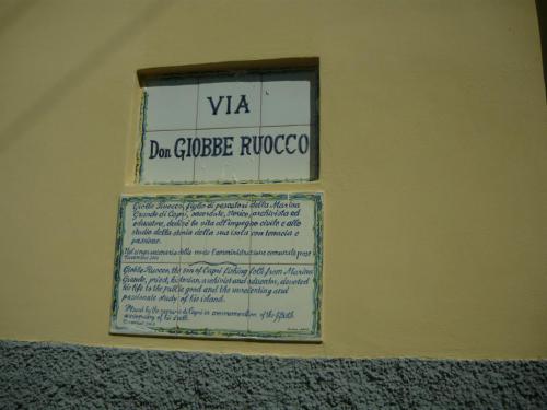f7123136.jpg