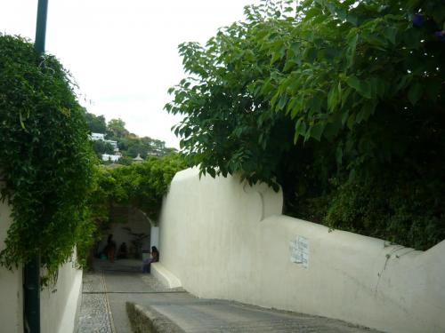 f6435648.jpg