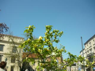 P1150020.JPG