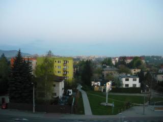 P1140953.JPG