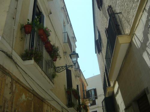 f12265024.jpg