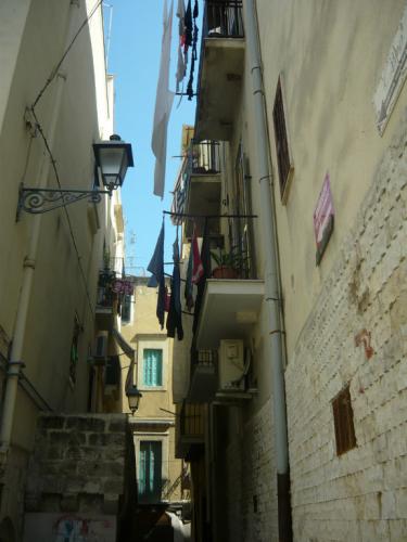 image2.jpg