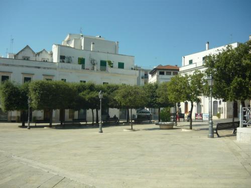 f13544192.jpg