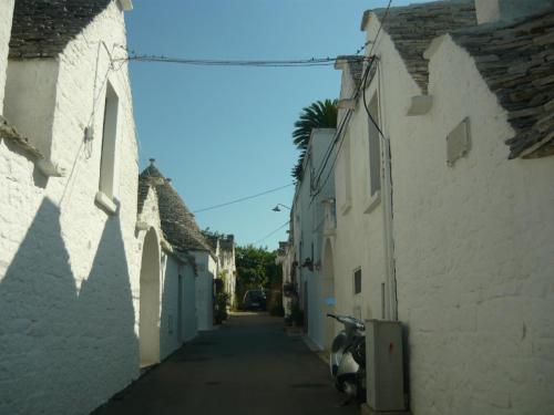 f13908928.jpg