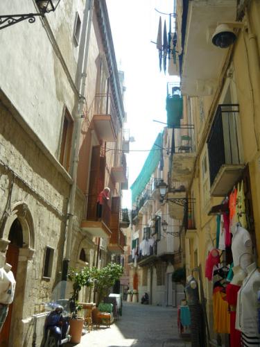image5.jpg