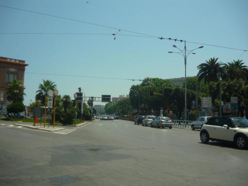f12520256.jpg