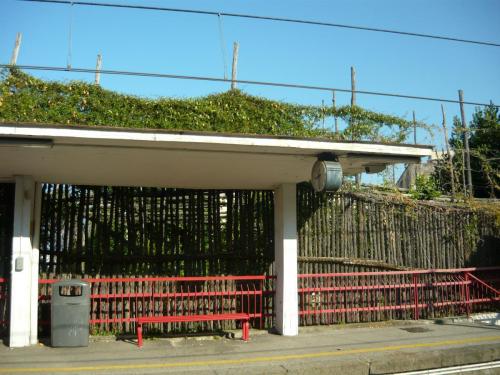 f9367040.jpg