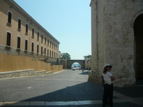 f11496512.jpg