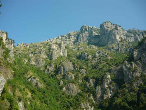 f14394496.jpg