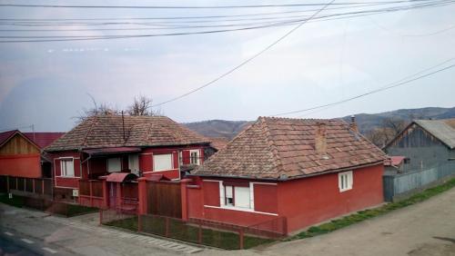 DSC_2500.JPG