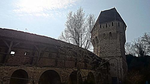 DSC_2592.JPG
