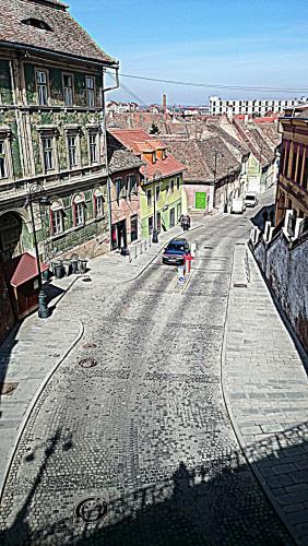 DSC_3668.JPG