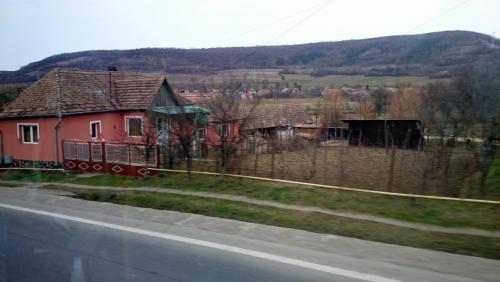 DSC_2489.JPG
