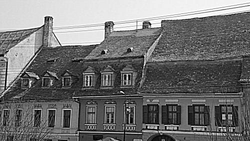 DSC_2738.JPG
