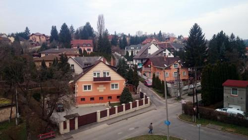 DSC_2228.JPG