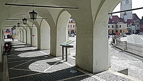 DSC_3665.JPG