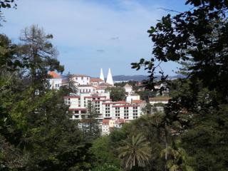 DSC07737.JPG